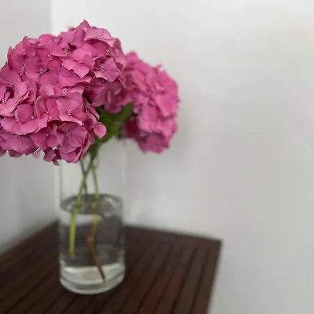 Parola * Комильяс